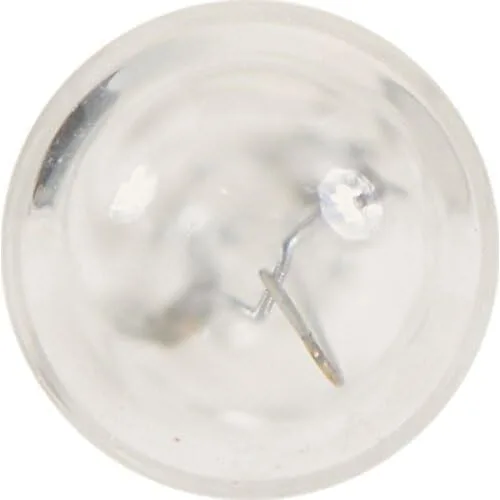 Miniatura 4 de Philips 12516 LongerLife - Bombilla miniatura (2 unidades)