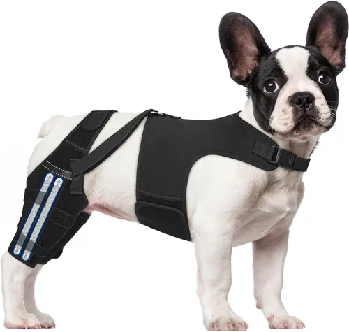 Rodillera para perro para patas traseras desgarradas del ligamento cruzado anterior – Soporte ajustable antideslizante para piernas de perro con 4