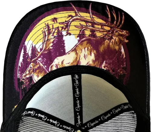 Miniatura 7 de Capiche - Gorra de visera plana de serie especial, talla única, unisex, hombre, más de 99 diseños
