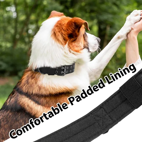 Miniatura 5 de Collar táctico para perro, collar militar ajustable para perro, collar de entrenamiento de nailon suave con parche, collares de hebilla de metal