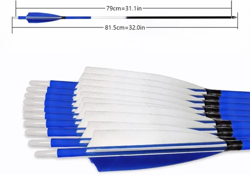 Miniatura 2 de 31Inch Carbon Arrows, Targeting Practice Hunting Arrow, Turkey Feather Fletching Arrow, with Removable Tips and nocks for Recurve & Compound Bow