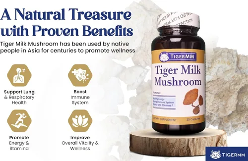 Miniatura 2 de Tiger Milk Mushroom (Lignosus rhino.) EE. UU., Apoyo inmunitario respiratorio pulmonar 450mg cápsula