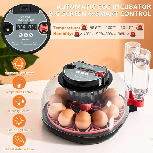 Miniatura 2 de Incubadoras para incubar huevos - Capacidad de 12 huevos, incubadora de huevos con giro automático de huevos y control de temperatura, incubadora