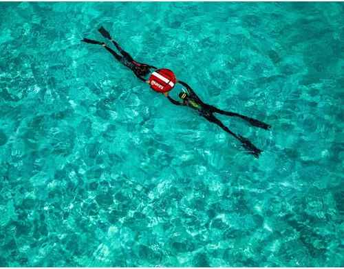 Miniatura 2 de MARES X-Wing Short Freediving Fins Durable High-Performance Swimming Flippers for Freediving & Spearfishing