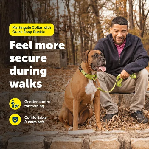 Miniatura 2 de Collar de la martingala de PetSafe Petite con hebilla rápida instantánea, Púrpura profundo