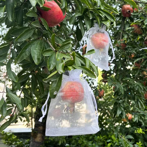Miniatura 5 de QPRETTY DU 100 bolsas de organza, protectores de frutas de malla blanca de 8 x 12 pulgadas con cordón para uvas, mango, verduras, jardín