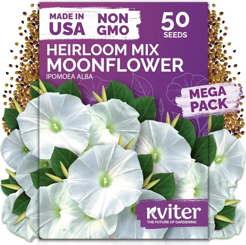 Miniatura 15 de KVITER 25 semillas de algodón blanco para plantar (Gossypium hirsutum) – Planta de algodón real, semillas de algodón para cultivo, semillas