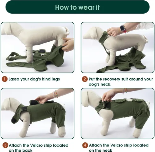 Miniatura 3 de Kuoser Manga de Protección para Heridas en Muslos para Perros, Traje de Recuperación Quirúrgica para Perros para Patas Traseras, Manga de Verde