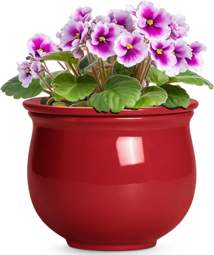 Miniatura 20 de Macetas de riego automático de 6 pulgadas para plantas de interior, macetas de cerámica violeta africana con maceta interior absorbente, maceta