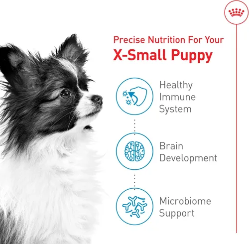 Miniatura 4 de De Royal Canin, Size Health Nutrition, comida seca para cachorros extra pequeños, comida para perros