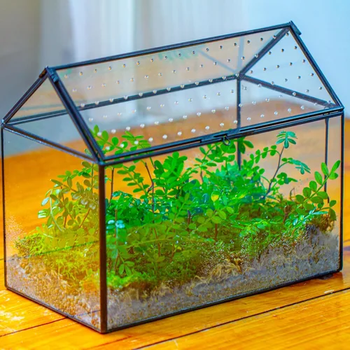 Miniatura 5 de NCYP Terrario de cristal con forma de casa con tapa acrílica, 10.2 x 5.9 x 8.2 pulgadas, caja de terrario geométrica grande de mesa para caracoles