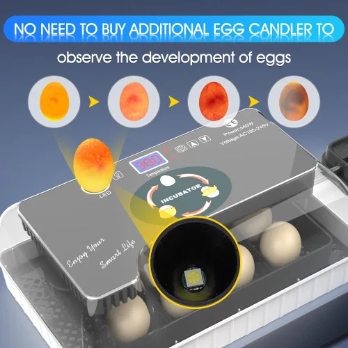 Miniatura 4 de 12 Incubadoras Automáticas de Huevos para Incubar Huevos con Control Inteligente de Temperatura, Volteador Automático, Ovoscopía LED para Huevos
