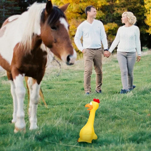 Miniatura 6 de Hungdao 1 pieza de juguetes de caballo de látex chirriante de pollo chirriante de pavo bolas para jugar falsos juguetes de pollo gritando