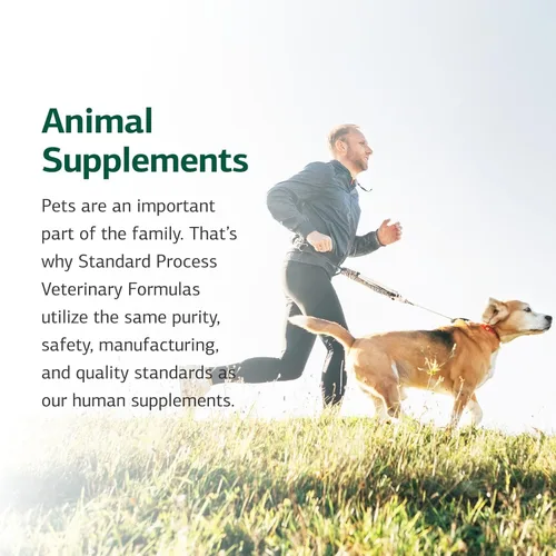 Miniatura 6 de Procedimiento estándar de apoyo metabólico equino - Suplemento equino para un apoyo saludable al metabolismo - Suplemento integral para caballos