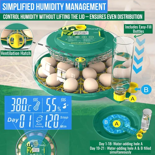 Miniatura 4 de Dural's DX5® Incubadora profesional de 18 huevos con giro automático y control de humedad Incubadora de huevos certificada por la FCC