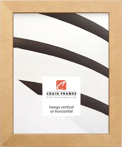 Miniatura 6 de Craig Frames Essentials, marco moderno de 1 pulgada, 19 x 25 pulgadas, color negro 646bk Negro