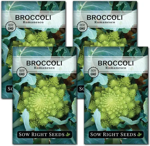 Miniatura 9 de Sow Right Seeds - Semillas de brócoli Romanesco para plantar - Paquete de reliquia sin OMG con instrucciones para plantar un huerto doméstico al