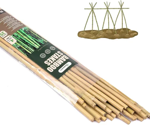 Miniatura 11 de Cambaverd Varillas de bambú para plantas, estacas de bambú de 2 pies para jardinería interior, estacas para plantas en maceta, mini árboles, estacas
