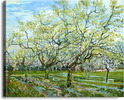 Miniatura 70 de A&T ARTWORK Noche estrellada sobre el Ródano de Vincent Van Gogh. Tamaño del marco: 36 x 30 pulgadas, tamaño de la imagen: 30 x 24 pulgadas