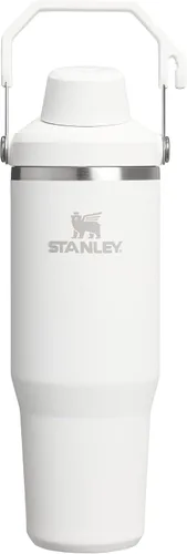 Stanley IceFlow 2.0 - Vaso de flujo rápido con asa, 30 onzas, tapa de boquilla angular con rosca, botella de agua a prueba de fugas, acero Frost