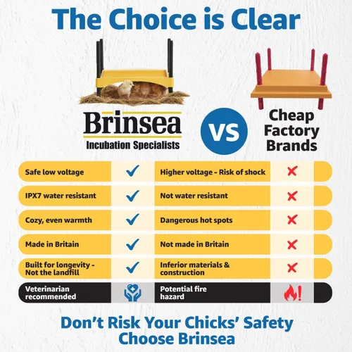 Miniatura 8 de Brinsea Ecoglow Safety 600 - Plato para criar hasta 20 pollitos - Placa térmica de 12 W de eficiencia energética para patitos y aves de corral