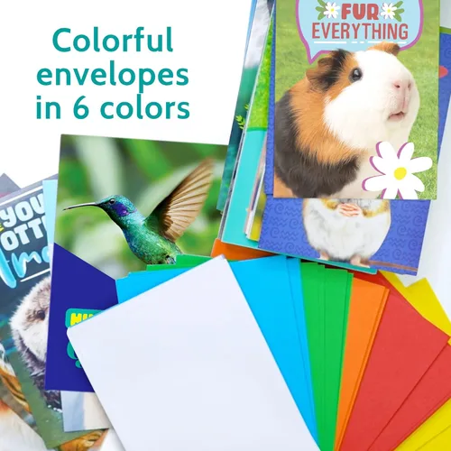 Miniatura 5 de T MARIE 24 divertidas tarjetas de felicitación de animales, diseños humorísticos sin repeticiones, tarjetas de notas a granel de 4.5 x 6.25 pulgadas