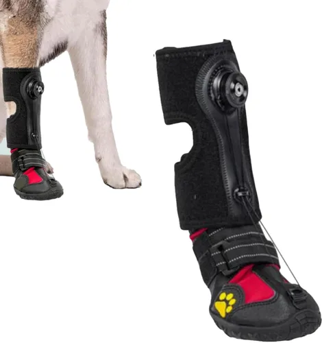 Soporte para pie caído con carrete (sin soporte para botas para nudillos) para perro, zapatos correctivos para levantar los dedos de los pies de