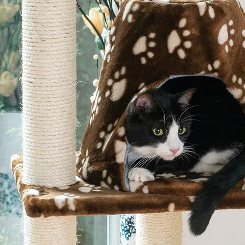 Miniatura 3 de Rascador Armarkat para gatos, estilo árbol, mueble Condo, con una altura de 60 pulgadas a 70 pulgadas, Marrón (Saddle Brown)