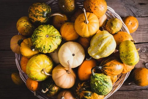 Miniatura 3 de Semillas grandes de calabaza para plantar, más de 25 semillas tradicionales por paquete, semillas de jardín de Isla (semillas de jardín de Isla)