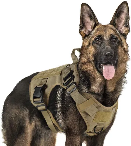 Miniatura 46 de rabbitgoo - Arnés táctico para perros pequeños, arnés resistente para mascotas con asa, chaleco de servicio sin tirones para razas pequeñas, chaleco