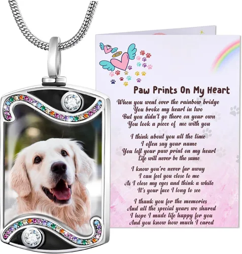 Miniatura 16 de Fanery Sue Collar personalizado para cenizas de mascotas para perros y gatos, foto y texto personalizados, regalo de condolencia, regalo de cremación