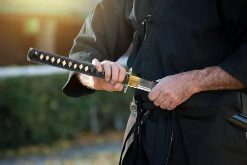 Miniatura 7 de HMS Aleación de aluminio sin afilar Iaido Training Wakizashi Sword Aleación de aluminio Wakizashi 679