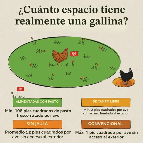 Miniatura 5 de Docena de huevos orgánicos Vital Farms. Huevos grandes, marrones con certificado