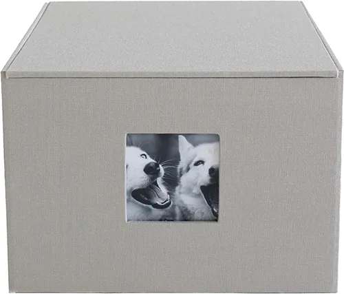 Kolo Havana Archival - Caja de almacenamiento de fotos, tamaño mediano, color platino Platinado