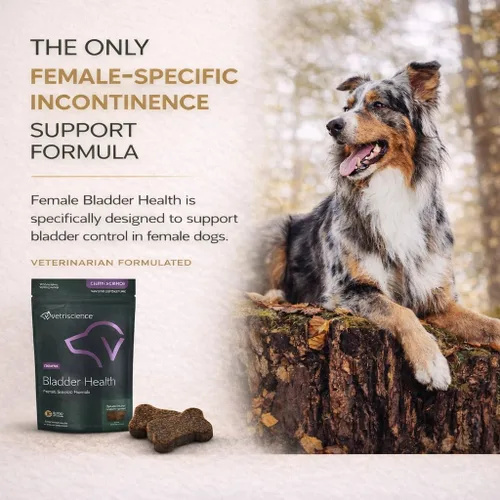 Miniatura 3 de VETRISCIENCE Masticables para la salud de la vejiga, suplemento Vetri Bladder para perros, apoyo a la incontinencia, reduce la fuga de orina