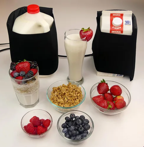 Probiotic Maker™ Máquina de batido de proteínas para hacer yogur para hacer kéfir.