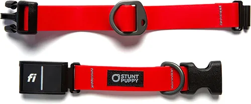 Miniatura 8 de Stunt Puppy Collar para perro, listo para Fi Series 3 y 3+, pequeño, naranja reflectante, compatible con dispositivo GPS Fi (no incluido)