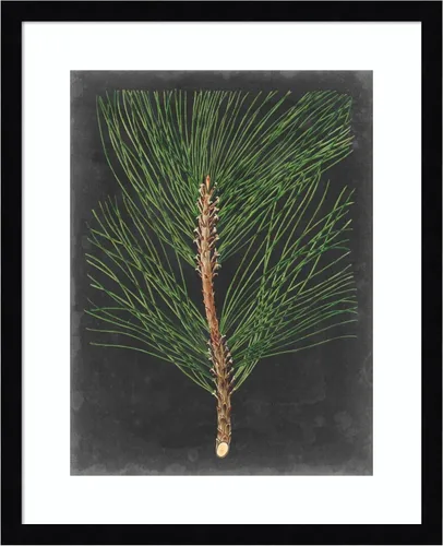 Miniatura 9 de Amanti Art Impresión artística enmarcada para pared, 44 x 36 pulgadas, dramático pino I de Vision Studio, arte de pared de naturaleza, decoración