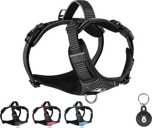 Emperor Pets Arnés sin tirones para perros pequeños, chaleco Oxford reflectante acolchado suave, 2 clips para correa, ajuste ligero ajustable, negro
