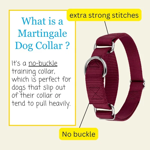 Miniatura 5 de Country Brook Petz - Collar Martingale para perro - Collar de entrenamiento resistente sin hebilla - Collar para perro de servicio para todos