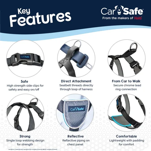 Miniatura 4 de CarSafe Arnés de viaje para perro, seguro de forma segura para perro en el automóvil, garantiza leyes de carretera y términos de seguro cuando
