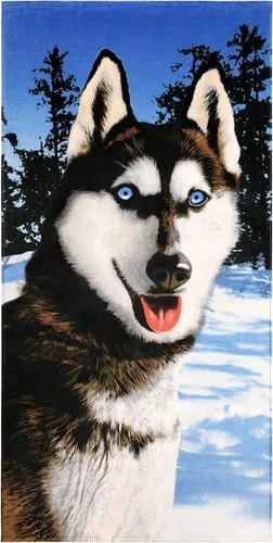 Husky - Toalla de playa de 30 x 60 pulgadas, diseño de lobo de Alaska, vida silvestre, algodón suave y absorbente, ecológica (30 x 60 pulgadas, azul)