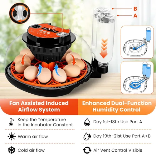 Miniatura 2 de Incubadora de 12 huevos para incubar, pollo, pato, codorniz y ganso, girador automático de huevos, control de temperatura y humedad, pantalla LED