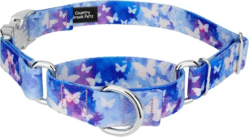 Miniatura 7 de Country Brook Petz - Collar de perro Martingala de dinosaurios con hebilla premium - Colección Critter Corner con 6 diseños temáticos de criaturas