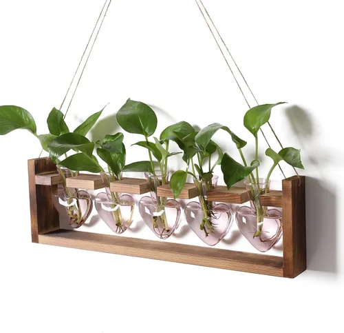 Miniatura 9 de Estaciones de propagación colgantes de terrario para plantas, regalo para mujeres, soporte para plantas de aire con soporte de madera, cristal