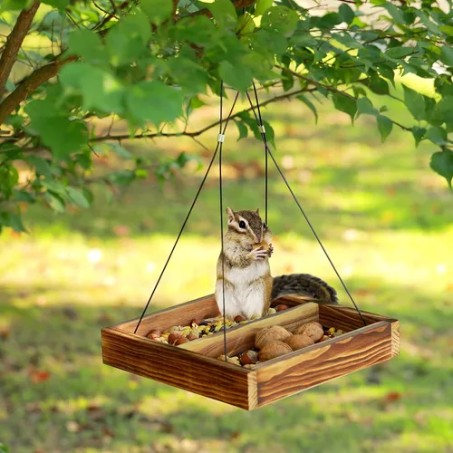 Miniatura 4 de MIXXIDEA Bandeja colgante para comedero de pájaros, bandeja de semillas de madera, bandeja colgante para colibríes, plataforma de semillas de malla