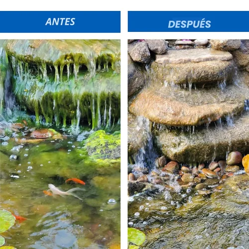 Miniatura 2 de CrystalClear Algae D-Solv - Alguicida de acción rápida registrado por la EPA, control de algas para fuentes y estanques al aire libre con koi