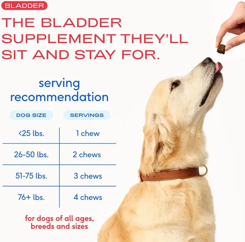 Miniatura 5 de Native Pet Tratamiento de infecciones urinarias para perros, suplemento de arándano para control de la vejiga y apoyo renal, previene la infección