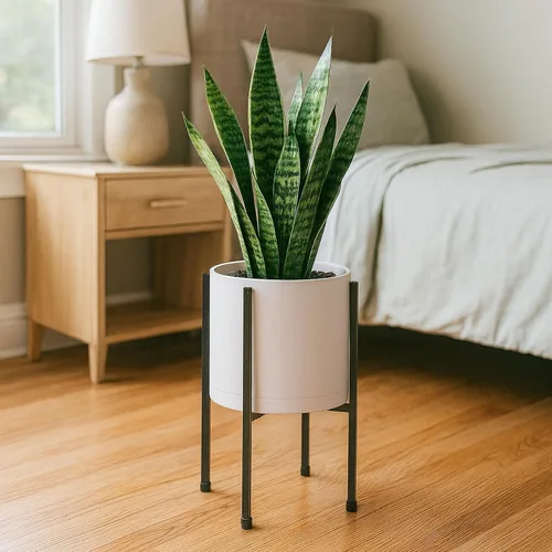 Miniatura 6 de D'vine Dev Maceta blanca de 8 pulgadas con soporte, moderna maceta cilíndrica de plástico con soporte de metal resistente para plantas