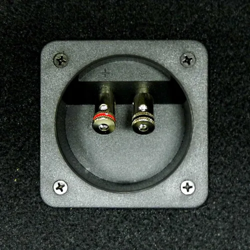 Miniatura 3 de Bass Rockers Caja de caja de altavoz de 2x2 de 10"/4" con terminal de resorte (acabado de alfombra)